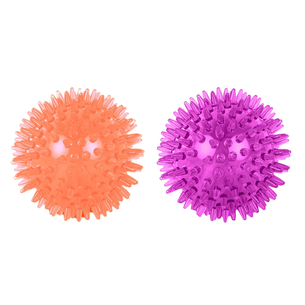Bite Resistant Pet Chew Ball Toys for Small Large Dogs Elastic Buoyant Squeaky Puppy Big Dog Toy Border Shepherd Collie Supplies