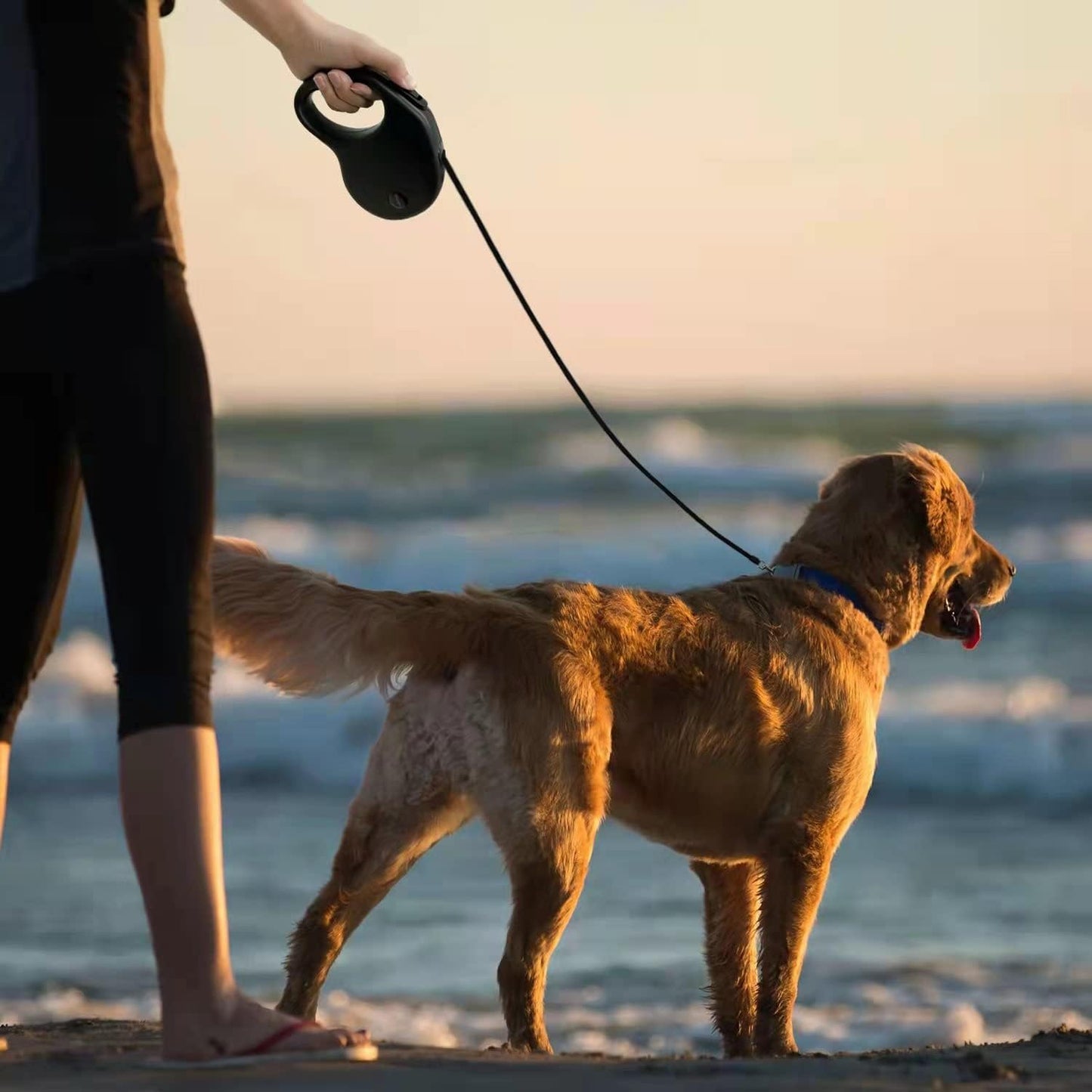 16Ft Retractable Dog Leash,Light Weight Leash for Small to Medium Dogs/Cats up to 50Lbs,Stainless Steel Spring Strong Nylon Tape, Tangle Free, One-Handed Brake. (Charcoal Black)
