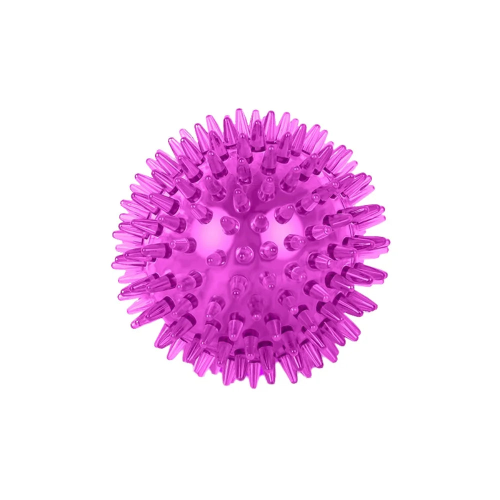 Bite Resistant Pet Chew Ball Toys for Small Large Dogs Elastic Buoyant Squeaky Puppy Big Dog Toy Border Shepherd Collie Supplies