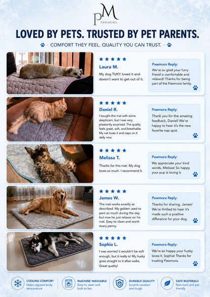 FrostMat 3.0 — Ice-Silk Self-Cooling Mat for Dogs & Cats